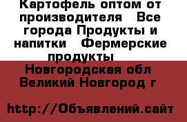 Картофель оптом от производителя - Все города Продукты и напитки » Фермерские продукты   . Новгородская обл.,Великий Новгород г.